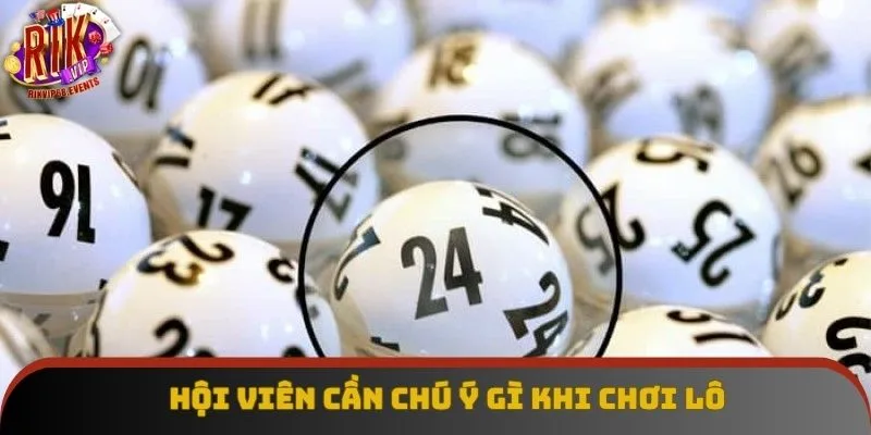 Hội viên cần chú ý gì khi chơi lô Hội viên cần chú ý gì khi chơi lô